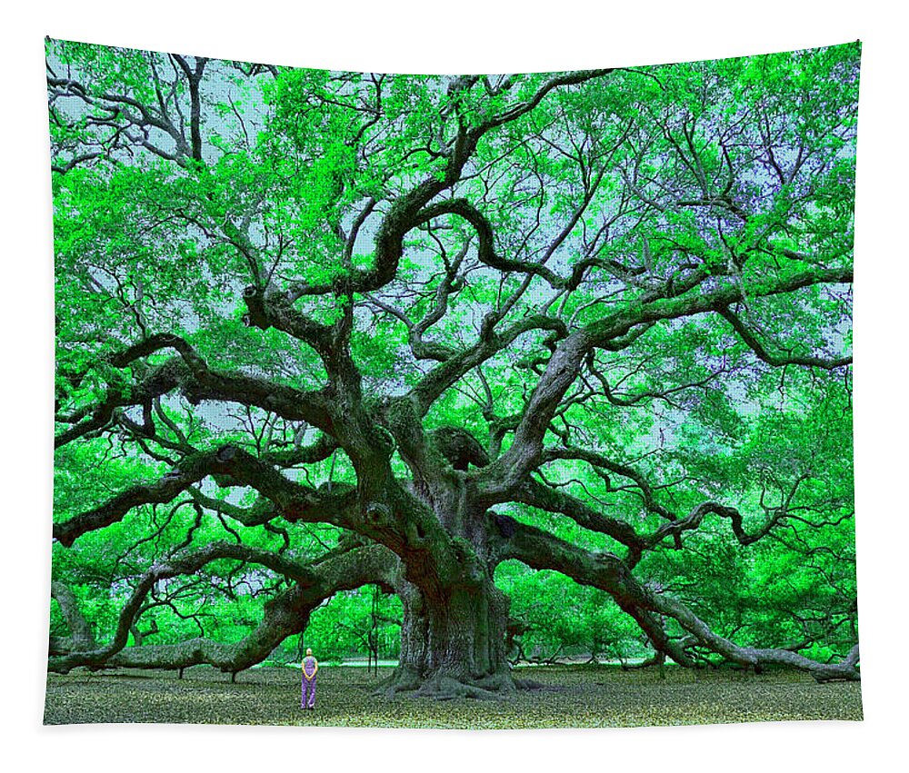 Stupendous Tapestry featuring the photograph Angel Oak by Allen Beatty