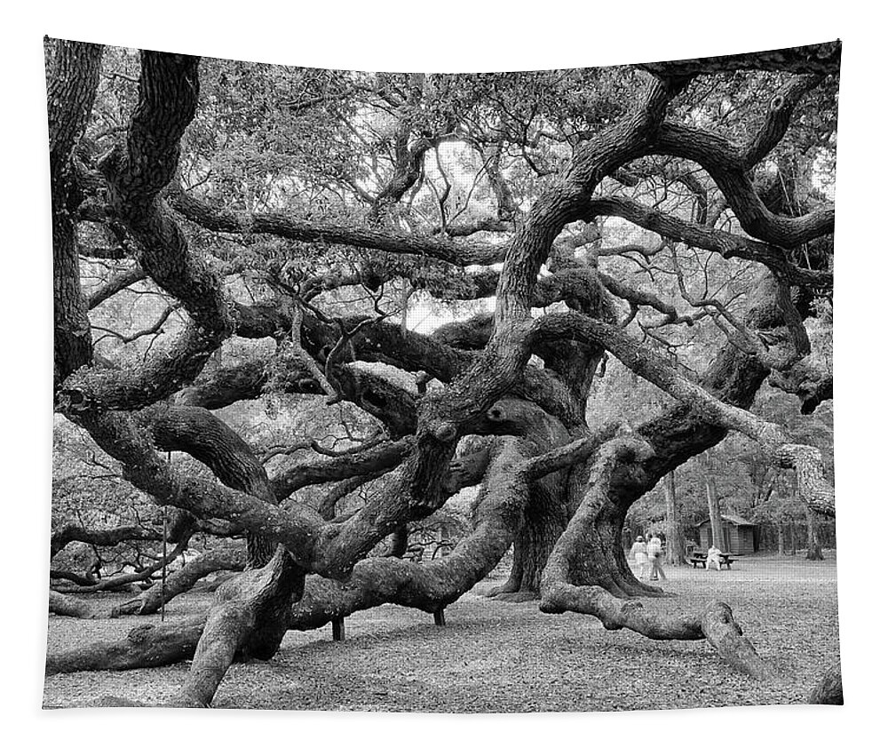 Angel Oak Tree Tapestry featuring the photograph Angel Oak Tree by Louis Dallara