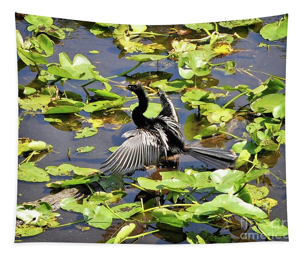 Anhinga Tapestry featuring the photograph Anhinga Amongst Lily Pads I by Chris Andruskiewicz