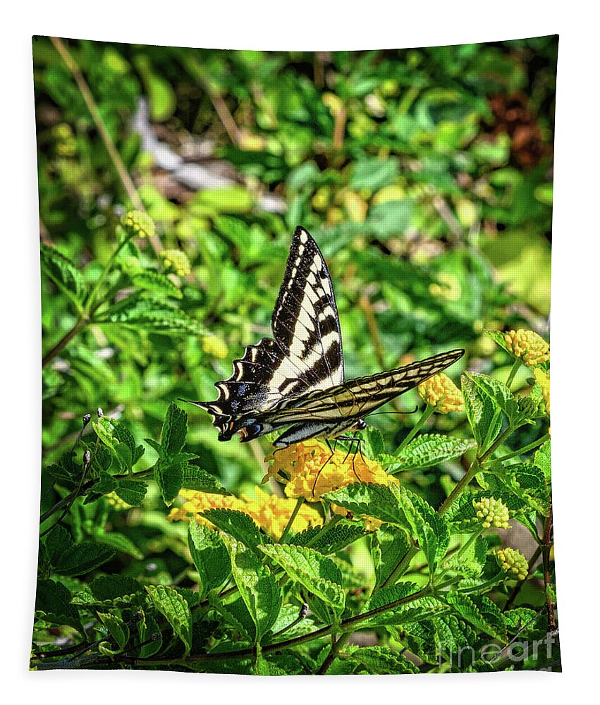 Anise Swallowtail Butterfly Tapestry featuring the photograph Anise Swallowtail Butterfly on a Yellow Lantana Flower by Abigail Diane Photography