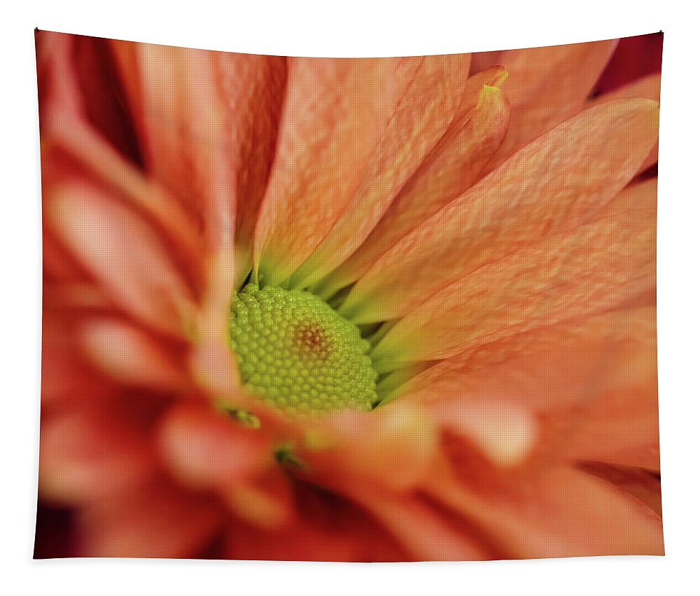 Autumn Tapestry featuring the photograph Anniversary Flowers by Carolyn Ann Ryan