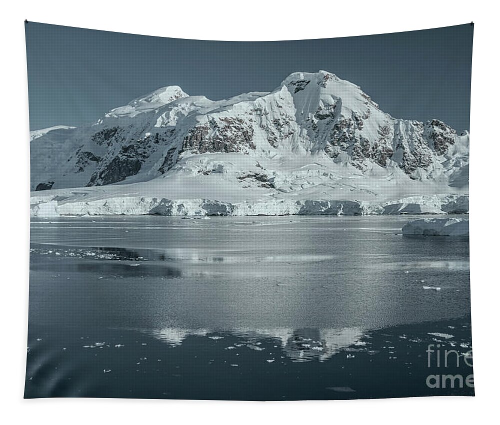 Antarctica Tapestry featuring the photograph Antarctic Landscape by David Lichtneker