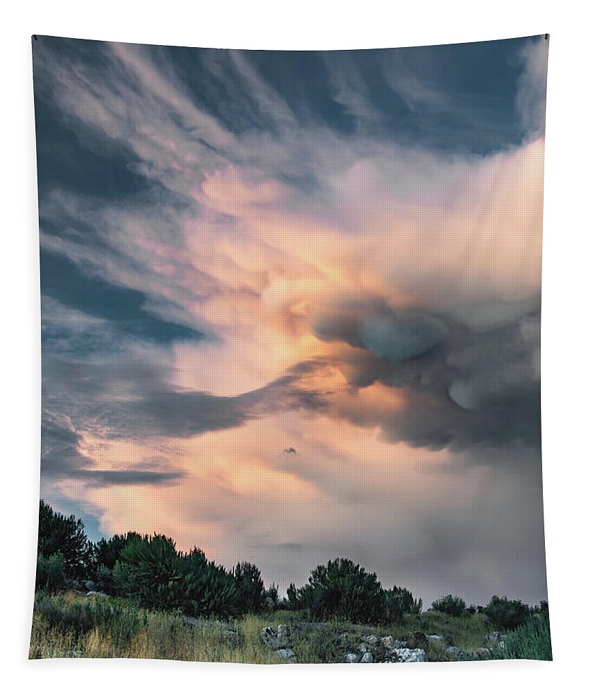 Storm Tapestry featuring the photograph Antelope Island Storm by Bryan Carter
