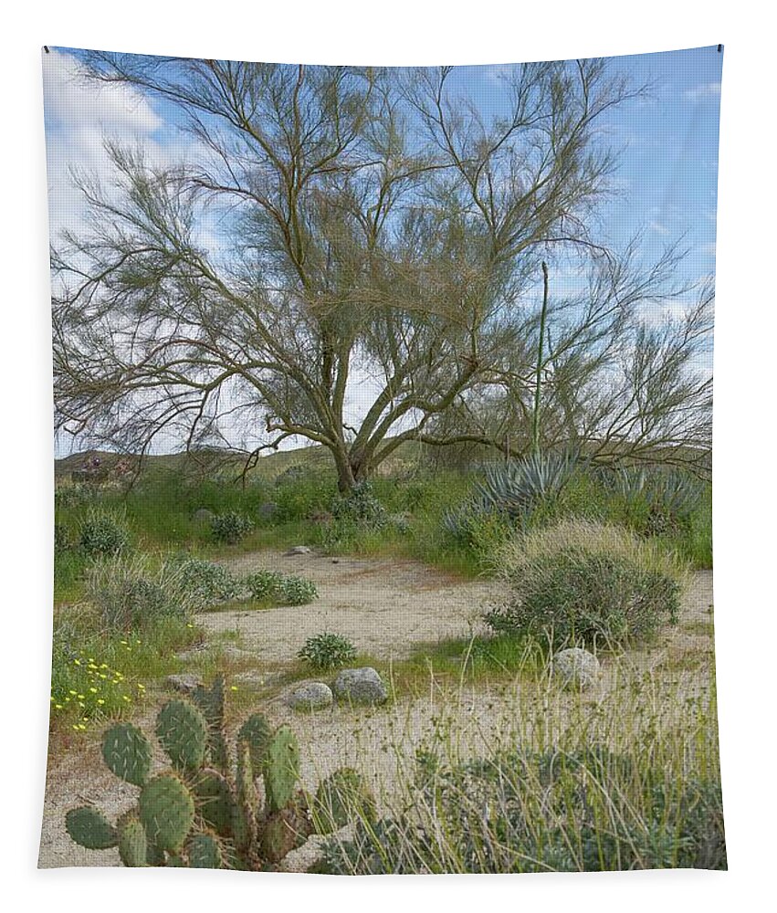 Anza-borrego Tapestry featuring the photograph Anza Borrego Desert Landscape by Rebecca Herranen