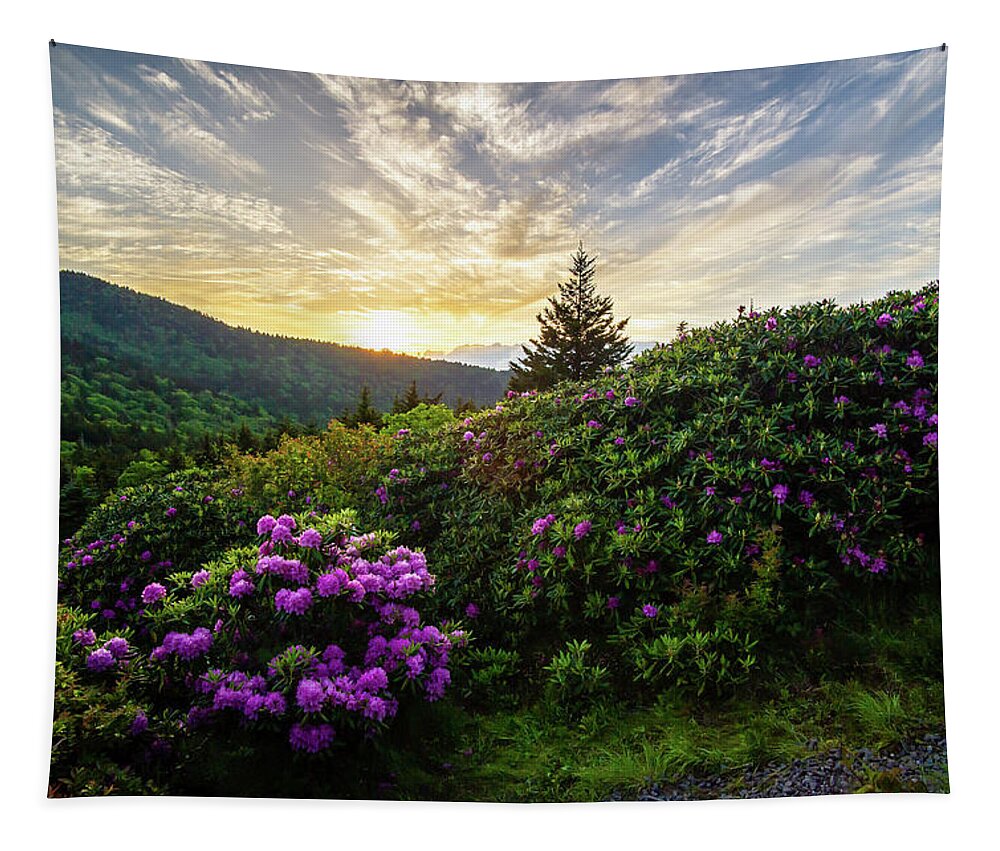 Spring Tapestry featuring the photograph Appalachian Trail NC TN Roan Sunset Sky by Robert Stephens