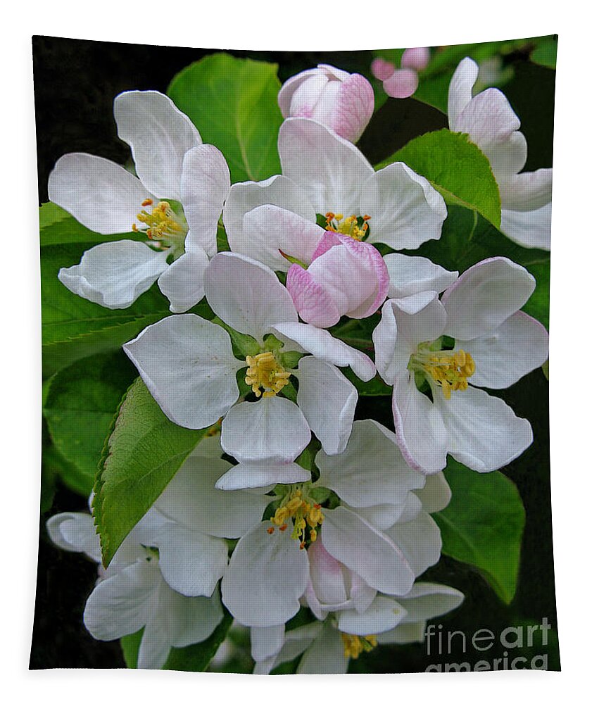 Blossoms Tapestry featuring the photograph Apple Blossom Time by Ann Horn