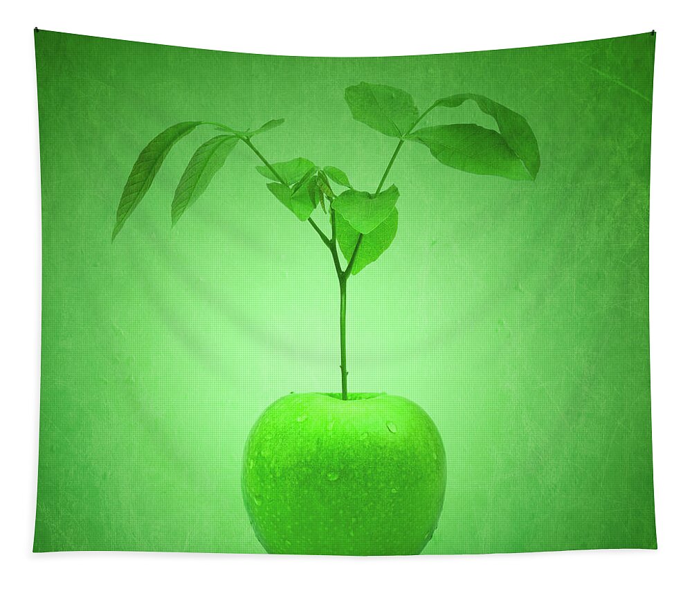 Apple Tapestry featuring the photograph Apple Tree by Wim Lanclus