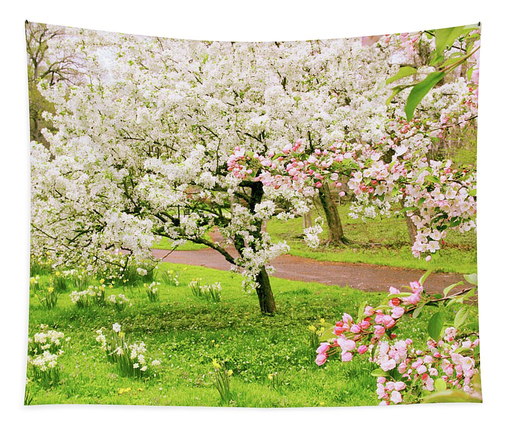 Apple Trees Tapestry featuring the photograph Apple Trees in Bloom by Jessica Jenney