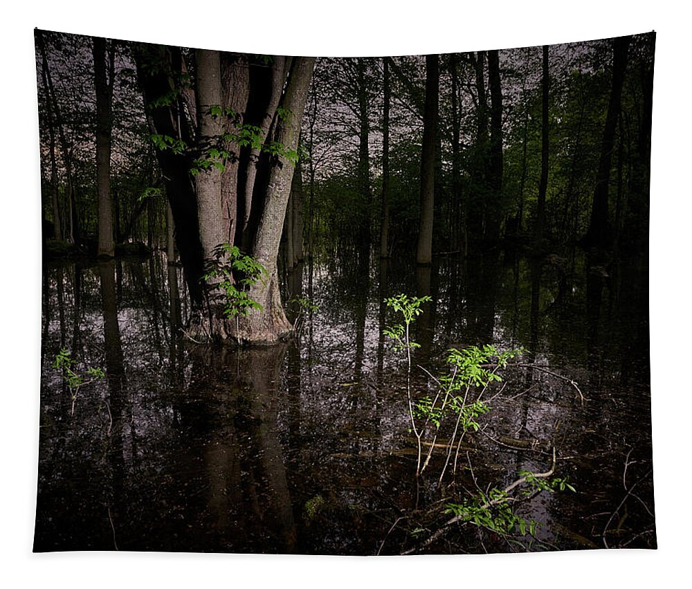 Swamp Tapestry featuring the photograph Apprehensive by Doug Gibbons