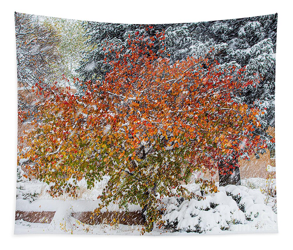 Taos Tapestry featuring the photograph Apricot Tree in a Winter Storm by Elijah Rael