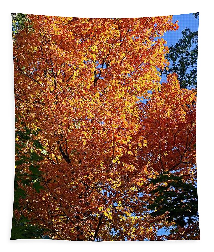 Arboretum Tapestry featuring the photograph Arboretum Fall 6, Madison, Wisconsin by Steven Ralser