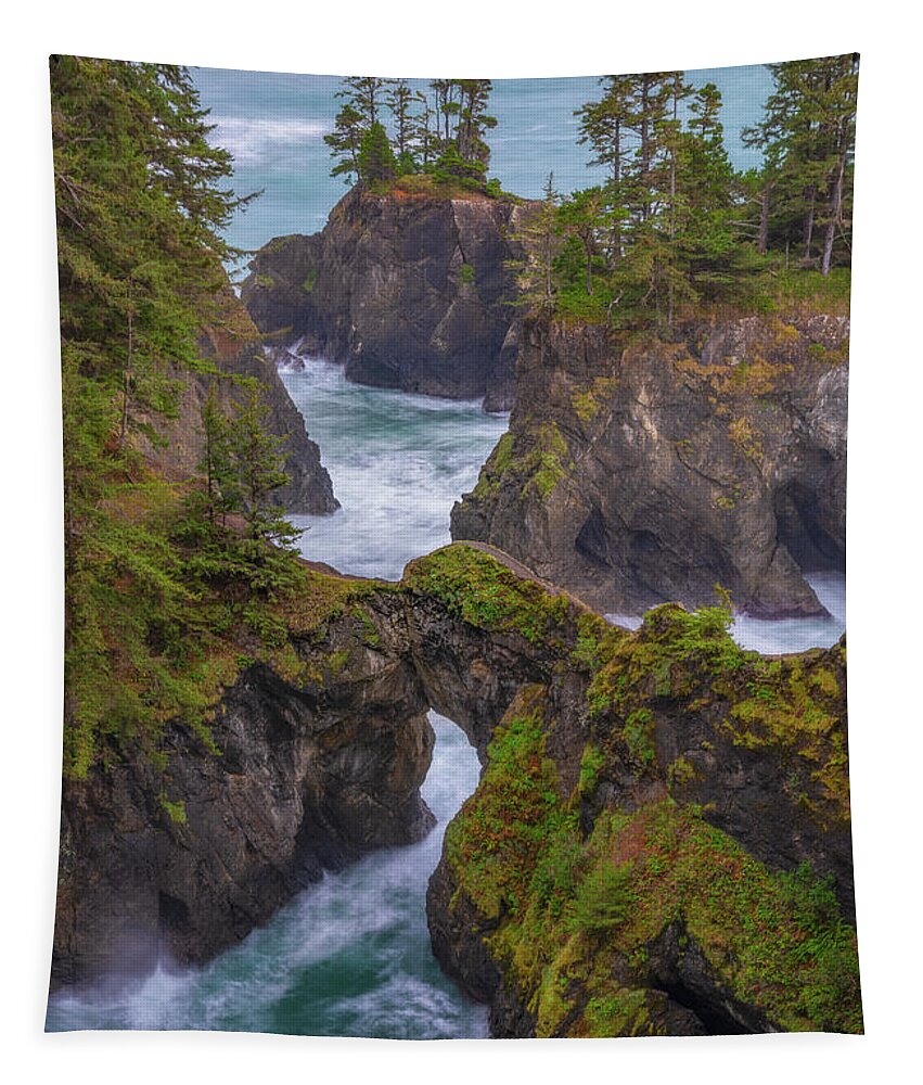 Oregon Tapestry featuring the photograph Arched Views by Darren White