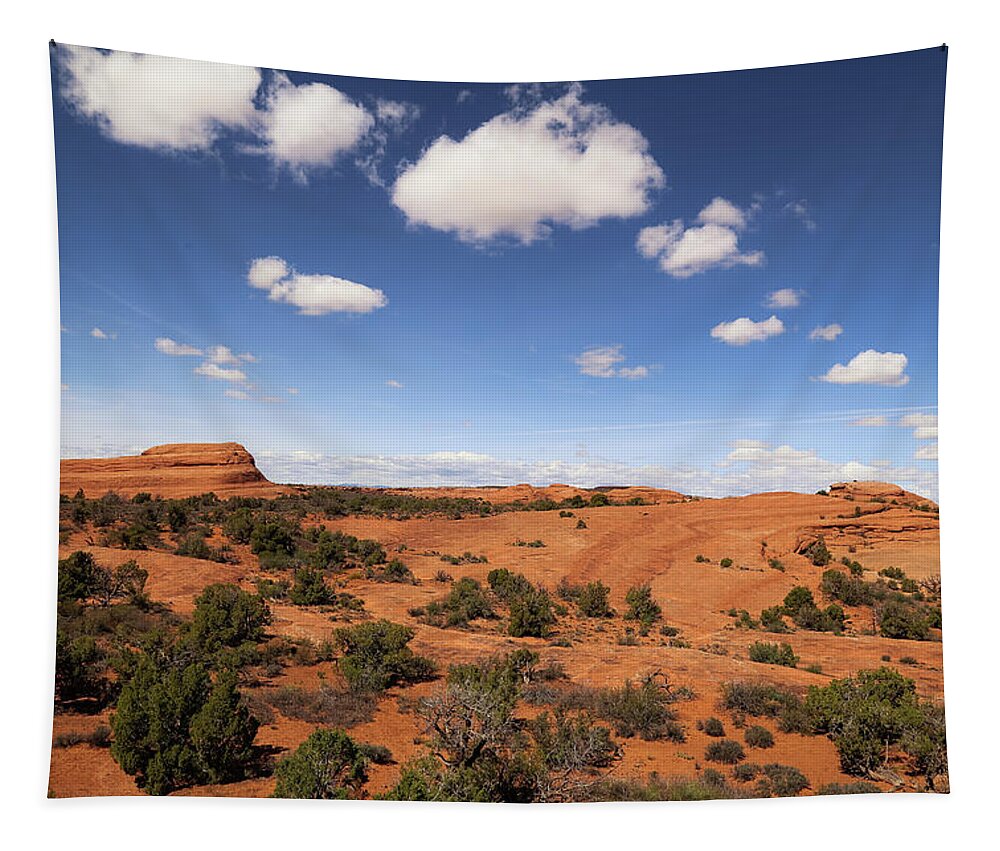 Arches National Park Tapestry featuring the photograph Arches National Park by Alberto Zanoni