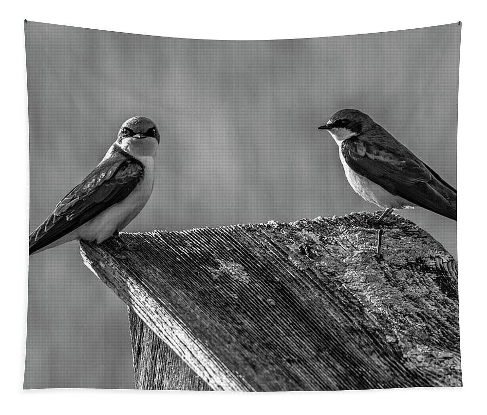 Avian Tapestry featuring the photograph Are You Kidding Me by Cathy Kovarik