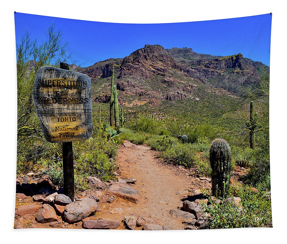 Arizona Tapestry featuring the photograph Arizona Desert Hiking by Susie Loechler