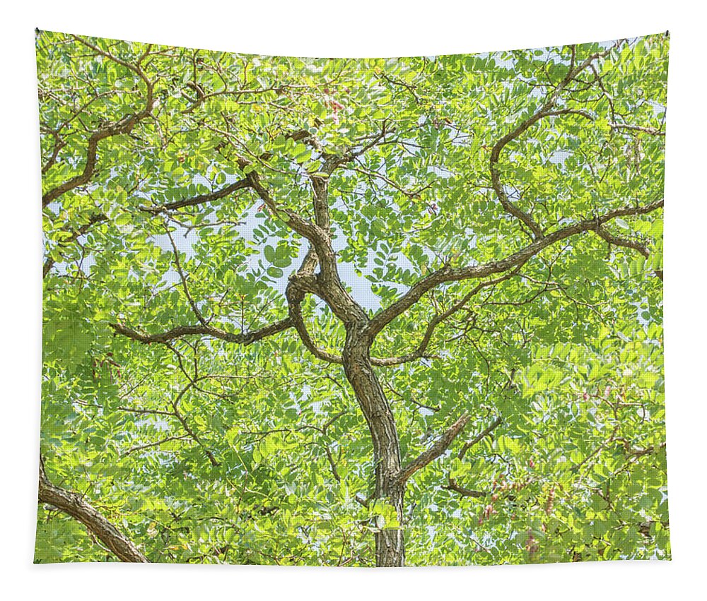 Arnos Park Tapestry featuring the photograph Arnos Park Trees Summer 1 by Edmund Peston