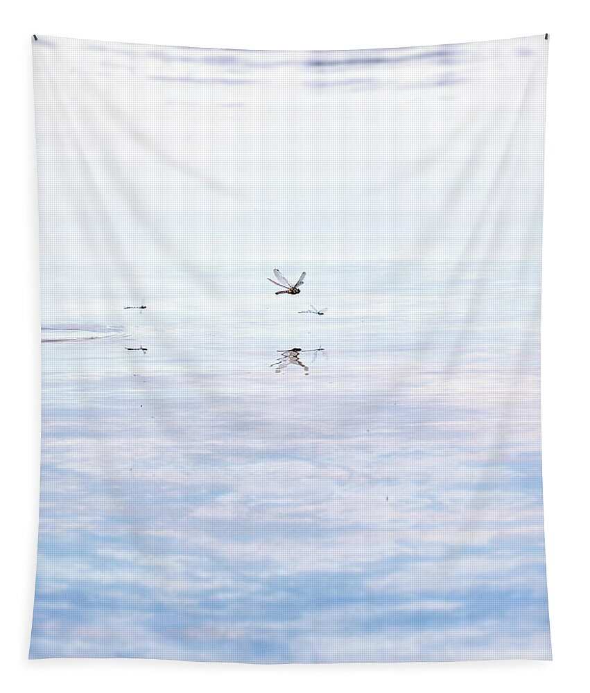 Dragonfly Tapestry featuring the photograph Around Dragonflies 3 by Jaroslav Buna
