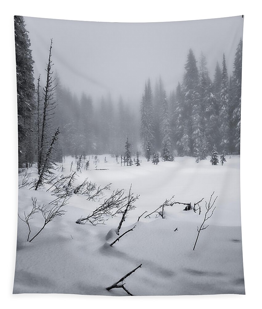 Black And White Photography Tapestry featuring the photograph Around the Winter Lake Black and White by Allan Van Gasbeck