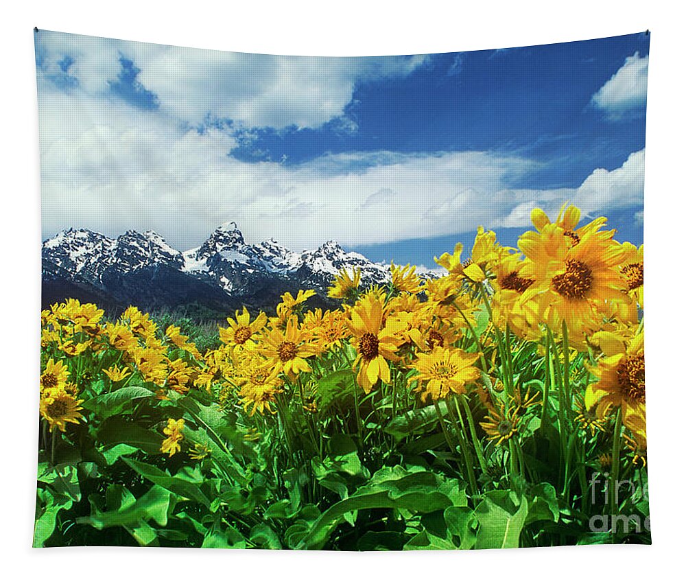 Dave Welling Tapestry featuring the photograph Arrowleaf Balsamroot Grand Tetons National Park Wyoming by Dave Welling