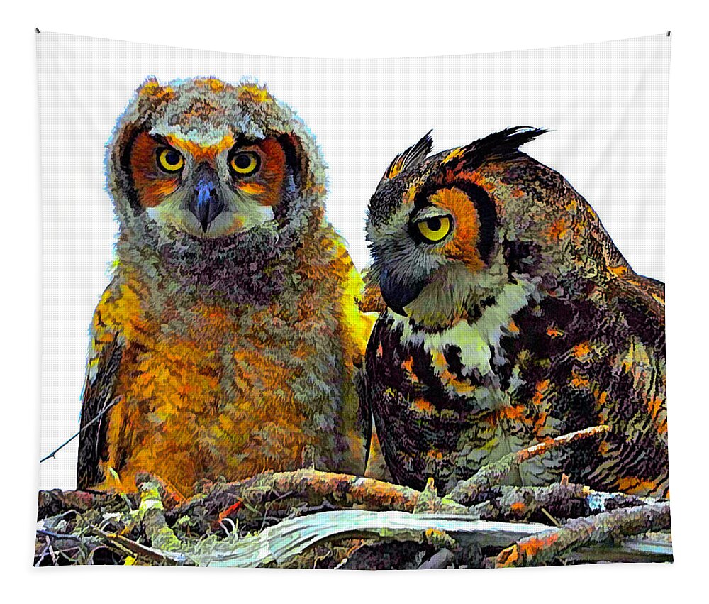 Owls Tapestry featuring the photograph Artsy Owls by Alison Belsan Horton