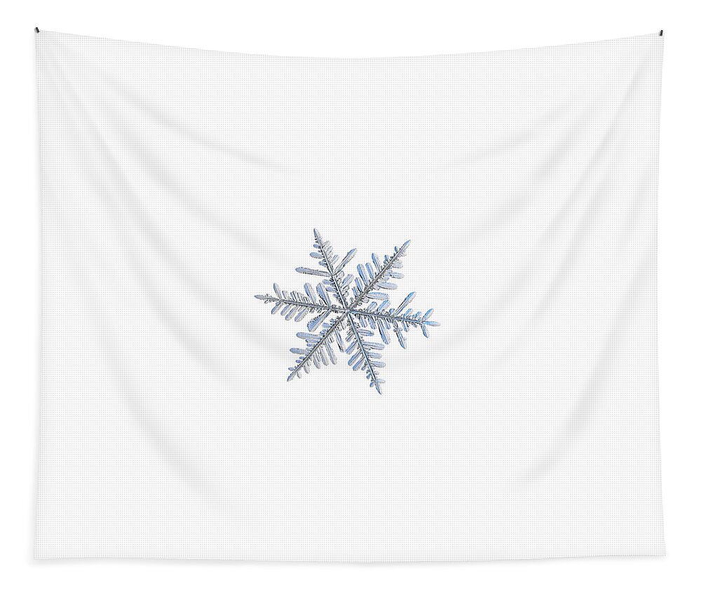 Snowflake Tapestry featuring the photograph Real snowflake 2018-12-18_1w by Alexey Kljatov