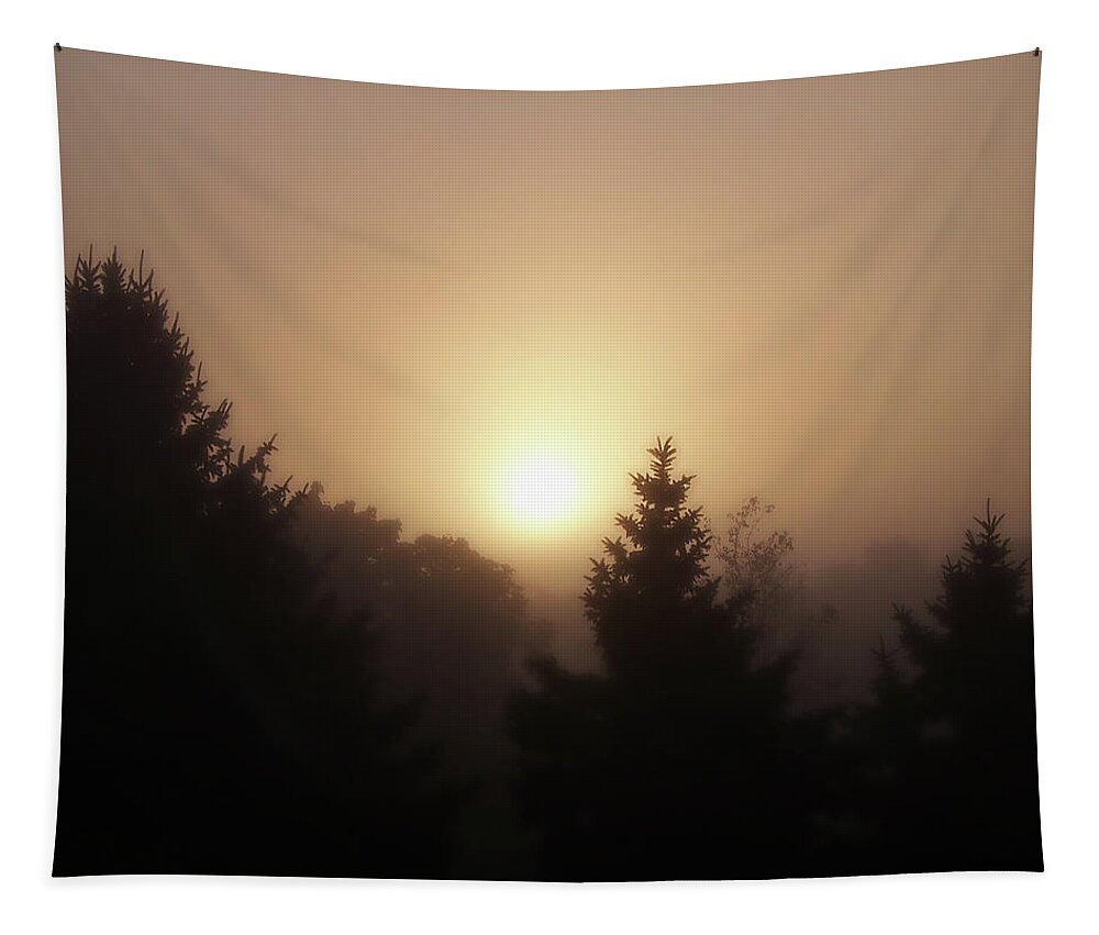 Sunrise Tapestry featuring the photograph Foggy Sunrise by Phil Perkins