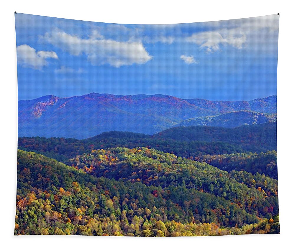 Forest Tapestry featuring the photograph As The Storm Passes by Gina Fitzhugh