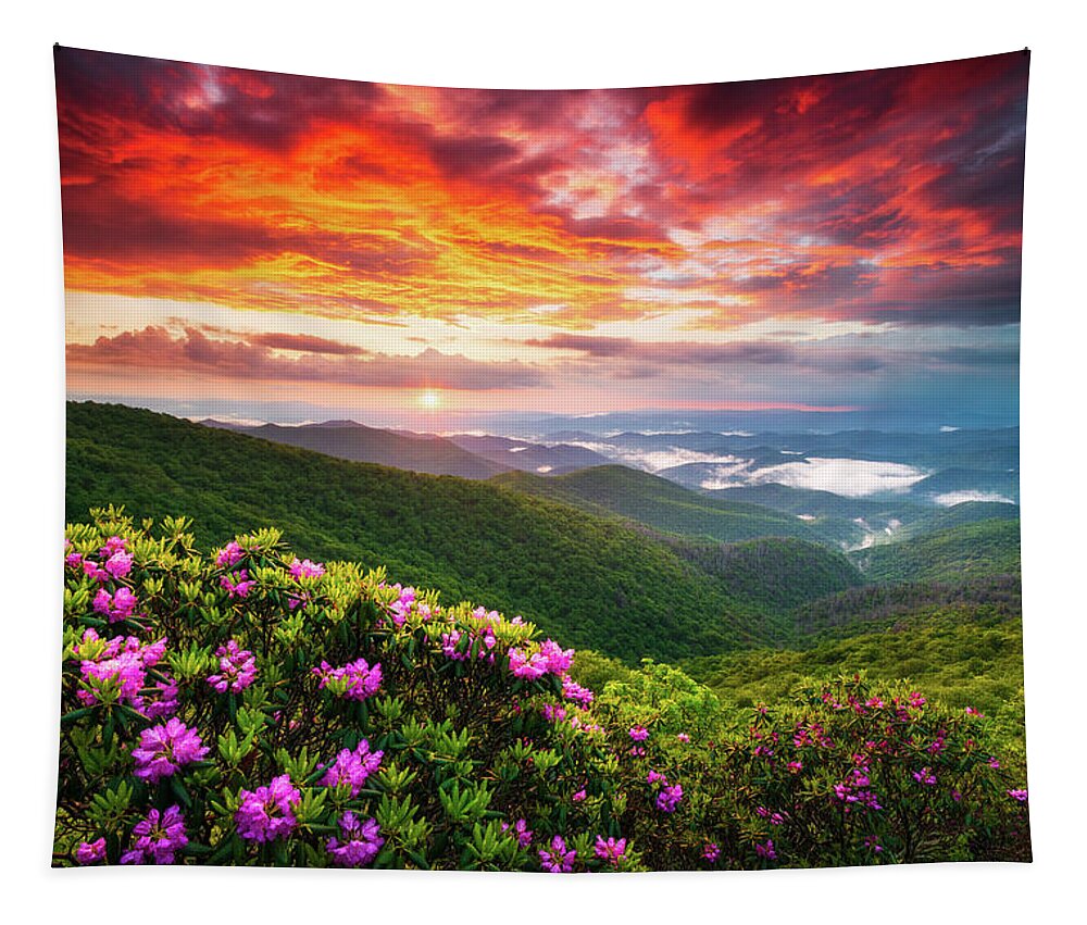 Blue Ridge Parkway Tapestry featuring the photograph Asheville North Carolina Blue Ridge Parkway Scenic Sunset Landscape by Dave Allen