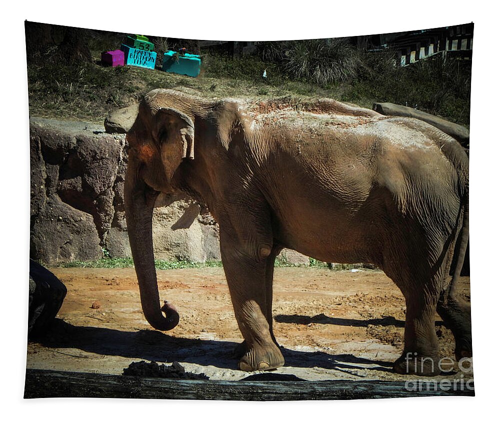 Elephant Tapestry featuring the photograph Asian Elephant by Judy Hall-Folde