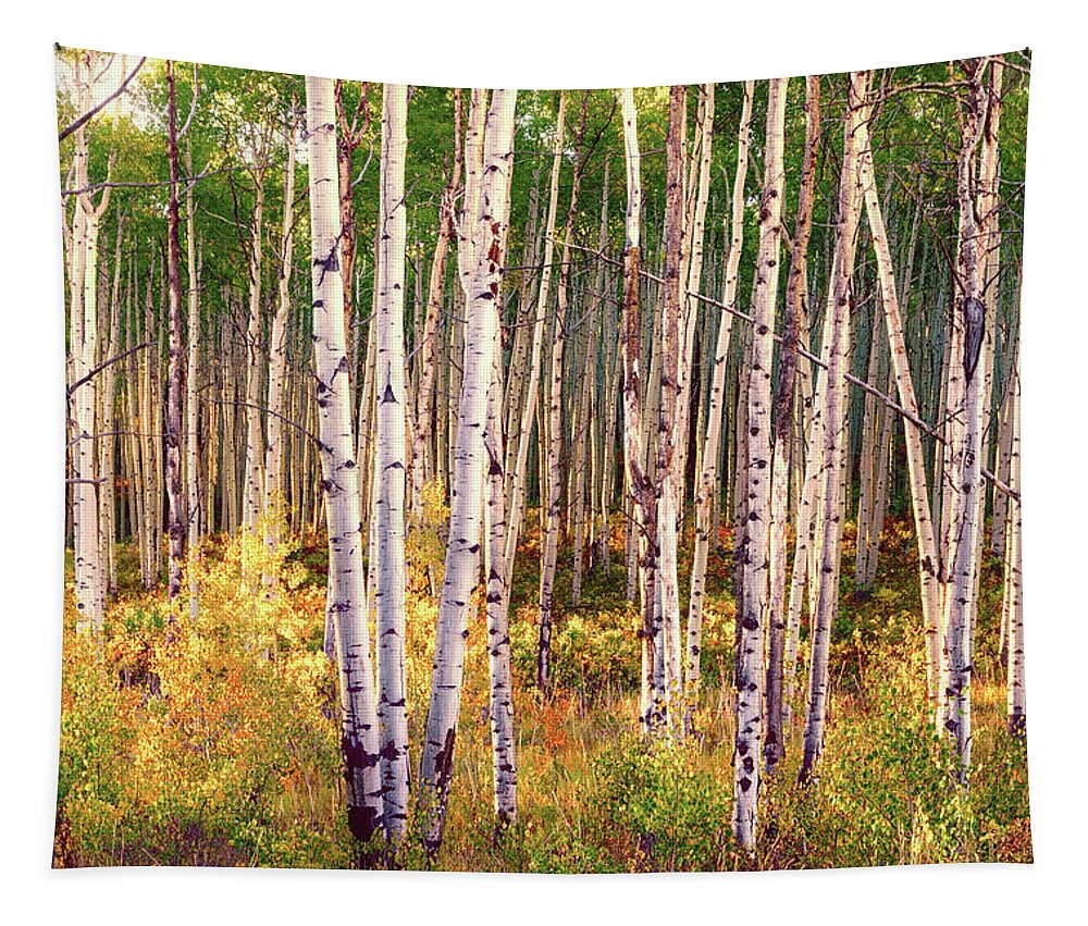 Beautiful Autumn Scenery In The Leaf-changing Aspen Grove aspen Tapestry featuring the pyrography Aspen grove in autumn I by Lena Owens - OLena Art Vibrant Palette Knife and Graphic Design
