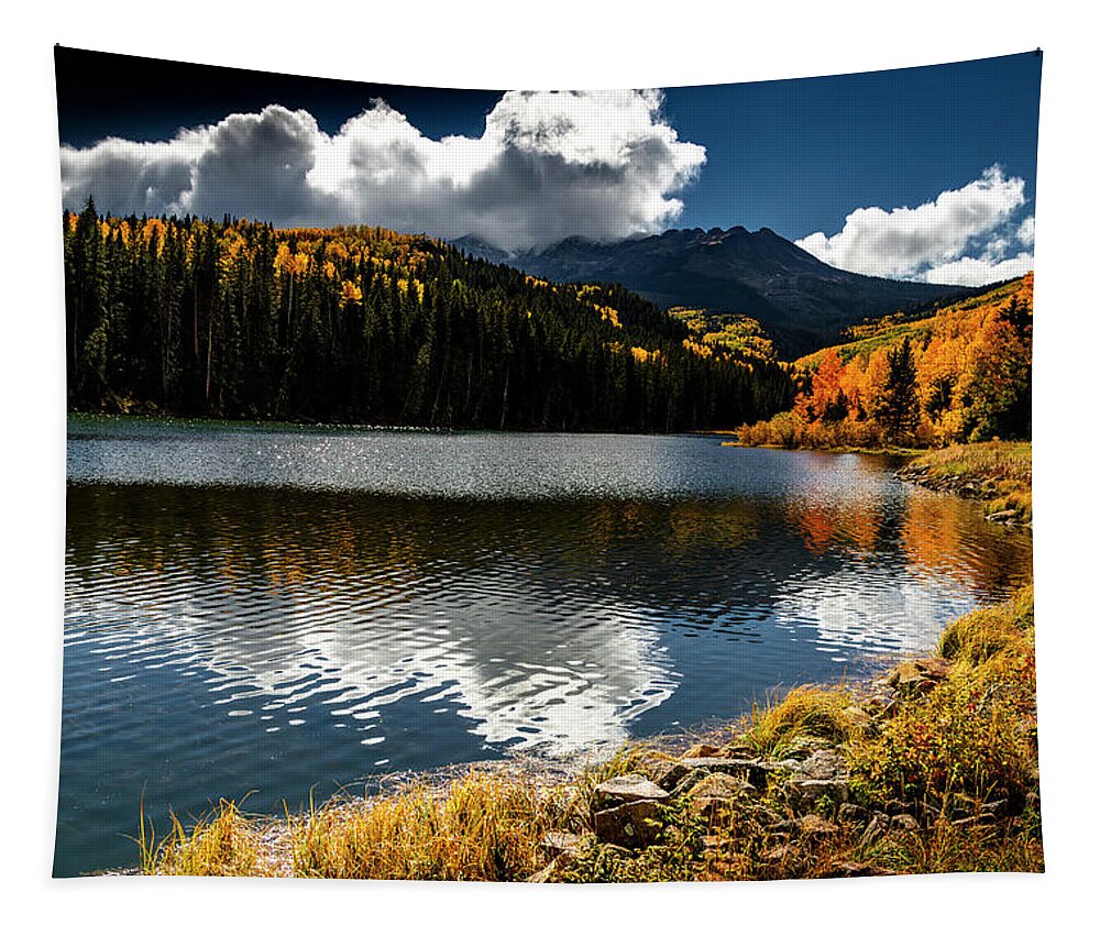 Woods Lake Tapestry featuring the photograph Aspen Heaven by Norma Brandsberg