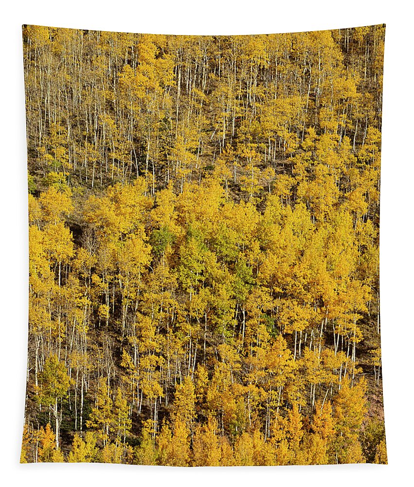 Aspen Tapestry featuring the photograph Aspen Texture by Aaron Spong