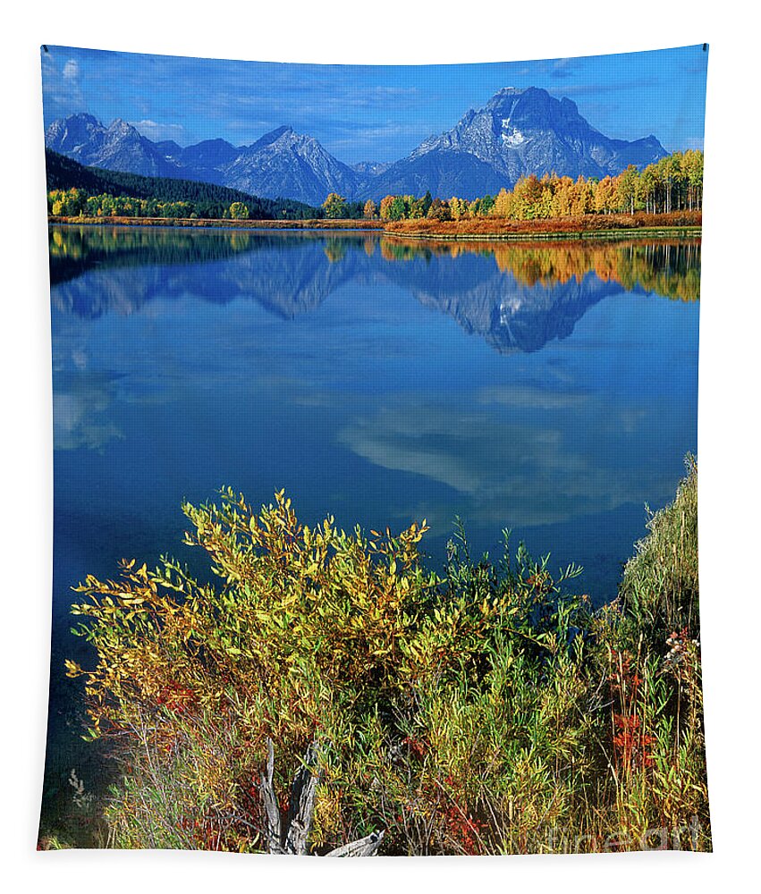 Dave Welling Tapestry featuring the photograph Aspens Fall Oxbow Bend Grand Tetons National Park by Dave Welling