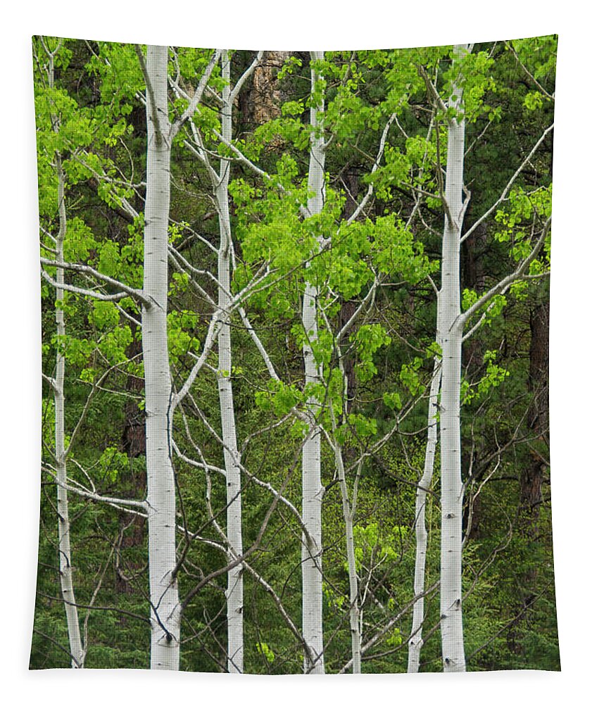 South Dakota Tapestry featuring the photograph Aspens by Larry Bohlin