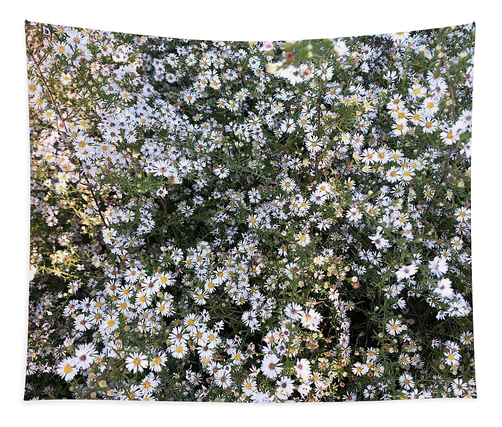 Asters Tapestry featuring the photograph Asters Wildflowers by Valerie Collins