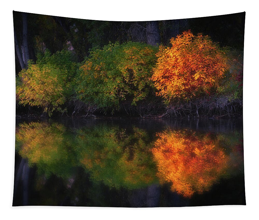 Sunrise Tapestry featuring the photograph At the Waters Edge by Darren White