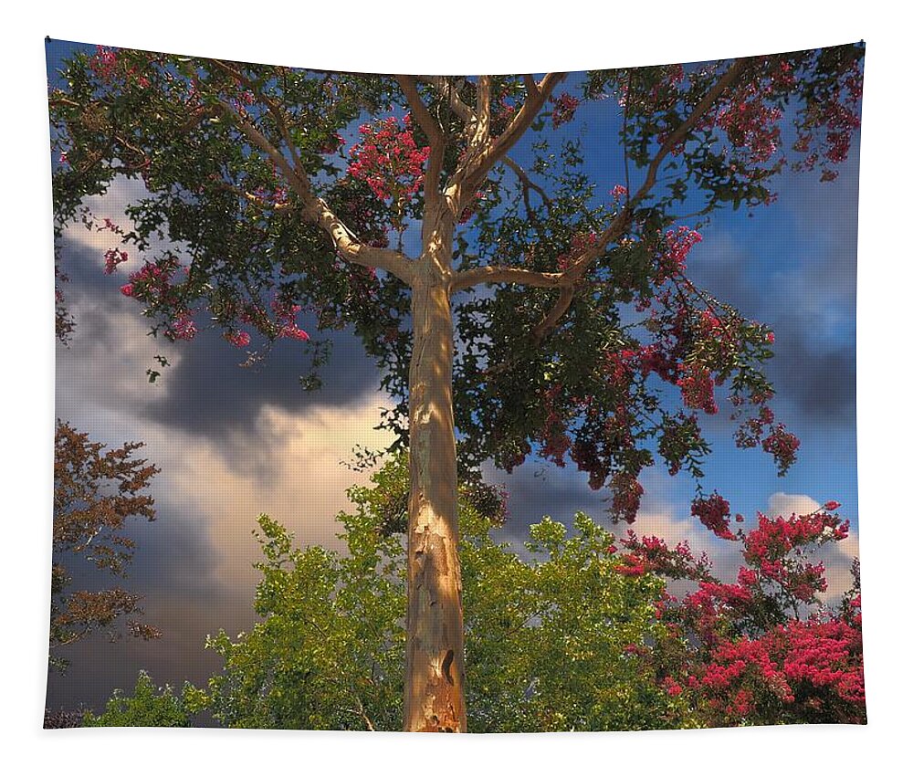 Digital Painting Tapestry featuring the photograph August Sunset by Richard Thomas