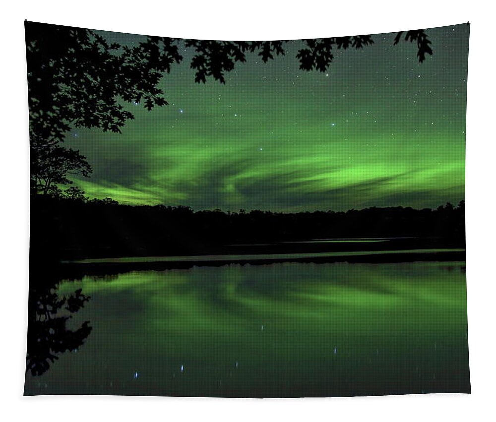 Aurora Borealis Tapestry featuring the photograph Aurora Under The Oak by Dale Kauzlaric