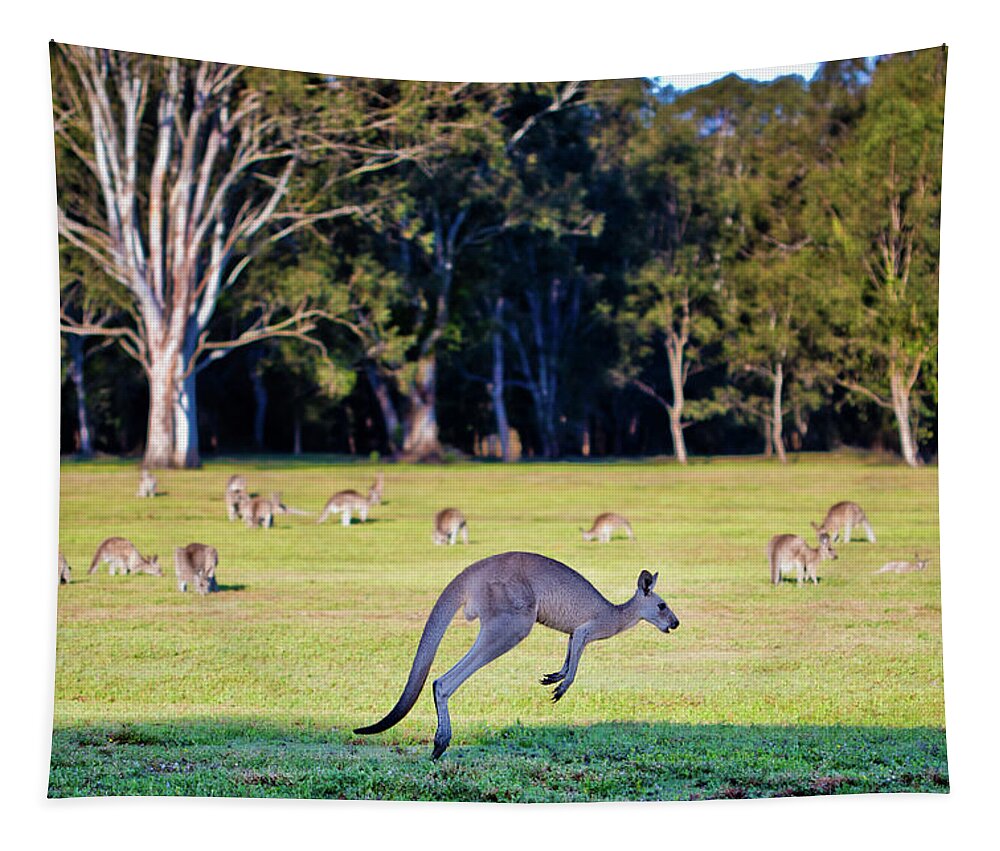 Australian Bush Kangaroo Hopping Tapestry featuring the photograph Australian Bush Kangaroo by Az Jackson