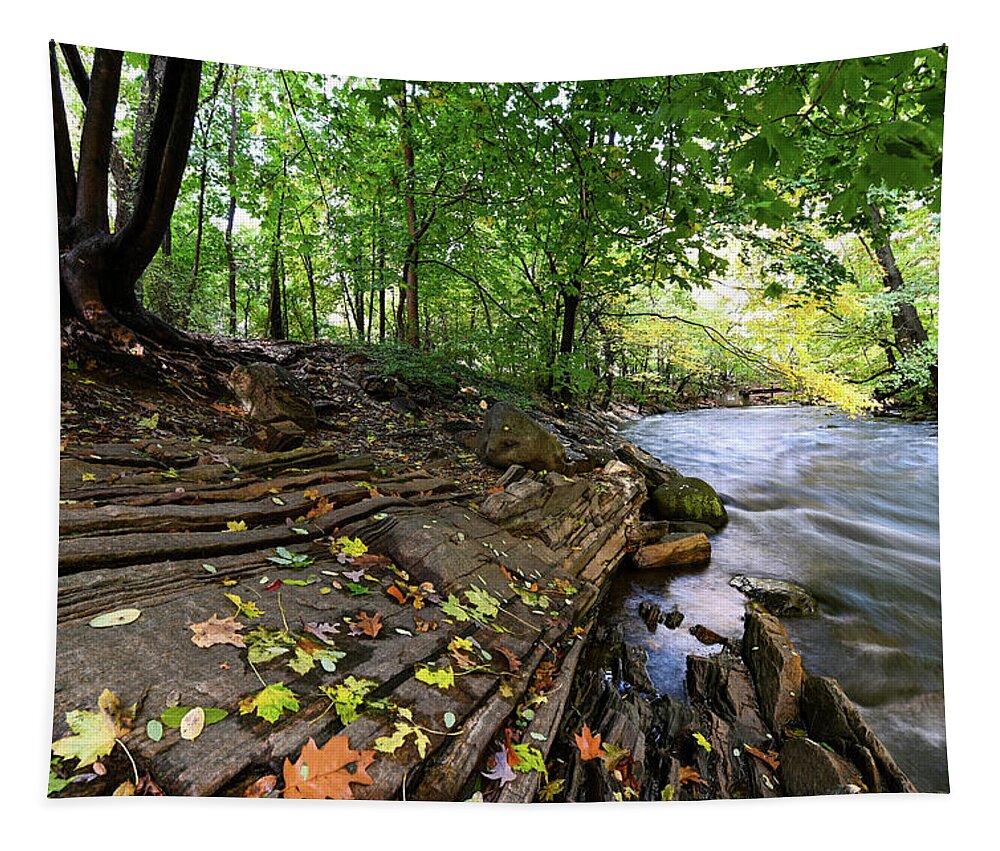Autumn Tapestry featuring the photograph Autumn Along the Bronx River by Kevin Suttlehan