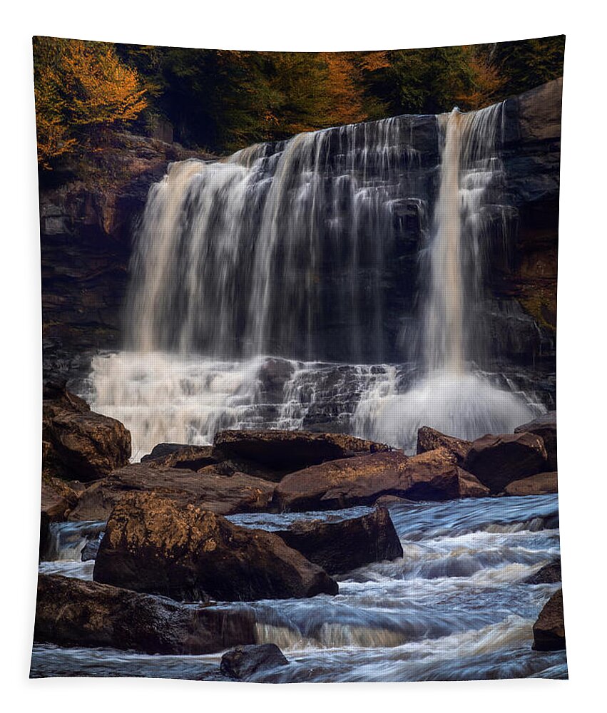 Blackwater Falls Tapestry featuring the photograph Autumn at Blackwater Falls by Jaki Miller