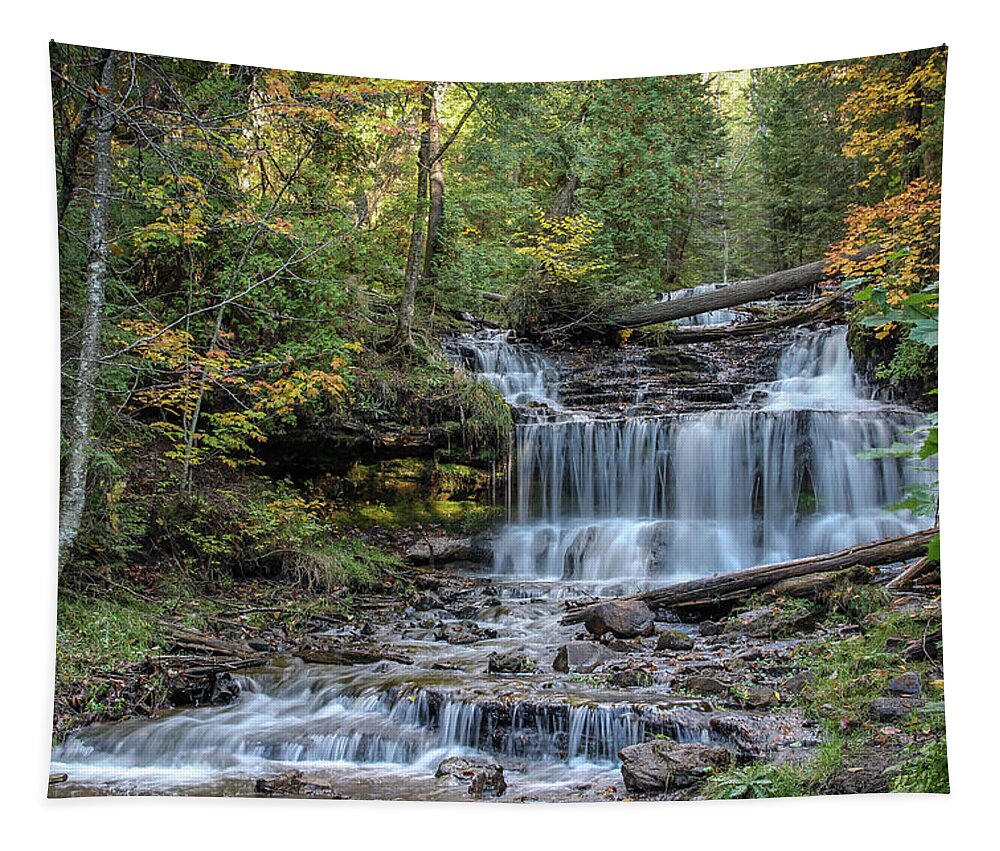 Usa Tapestry featuring the photograph Autumn at Wagner Falls by Robert Carter