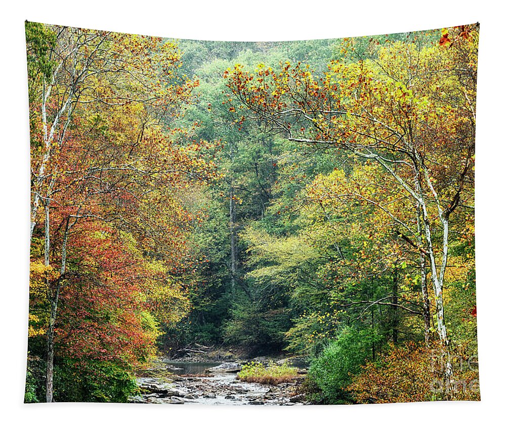Elk River Tapestry featuring the photograph Autumn Back Fork of Elk River by Thomas R Fletcher