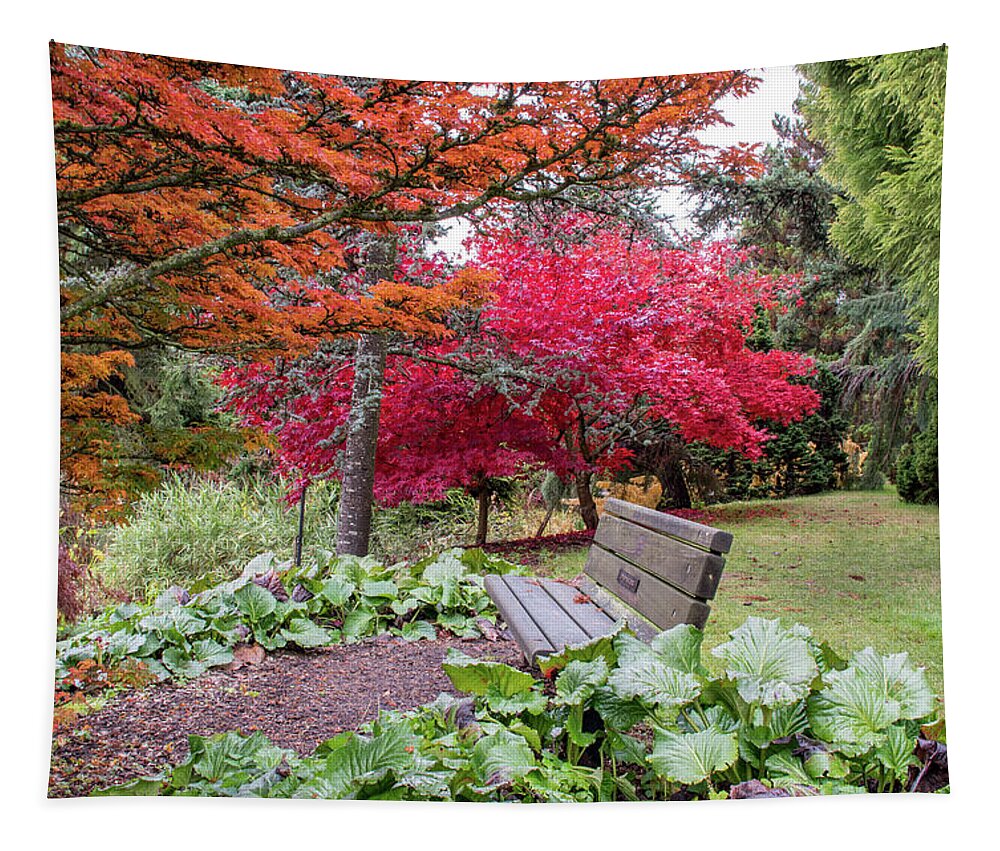 Autumn Tapestry featuring the photograph Autumn Beauty by Joan Septembre