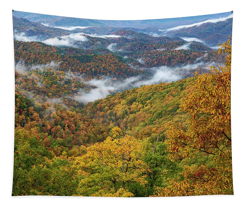 Vivid Autumn Landscape On The Blue Ridge Tapestry featuring the photograph Autumn Blue Ridge Mountains by Dan Sproul