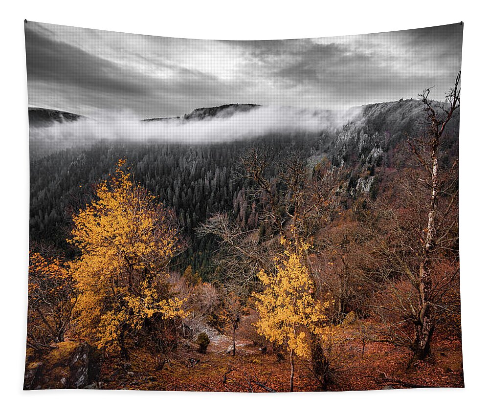 Landscape Tapestry featuring the photograph Autumn Breeze by Philippe Sainte-Laudy