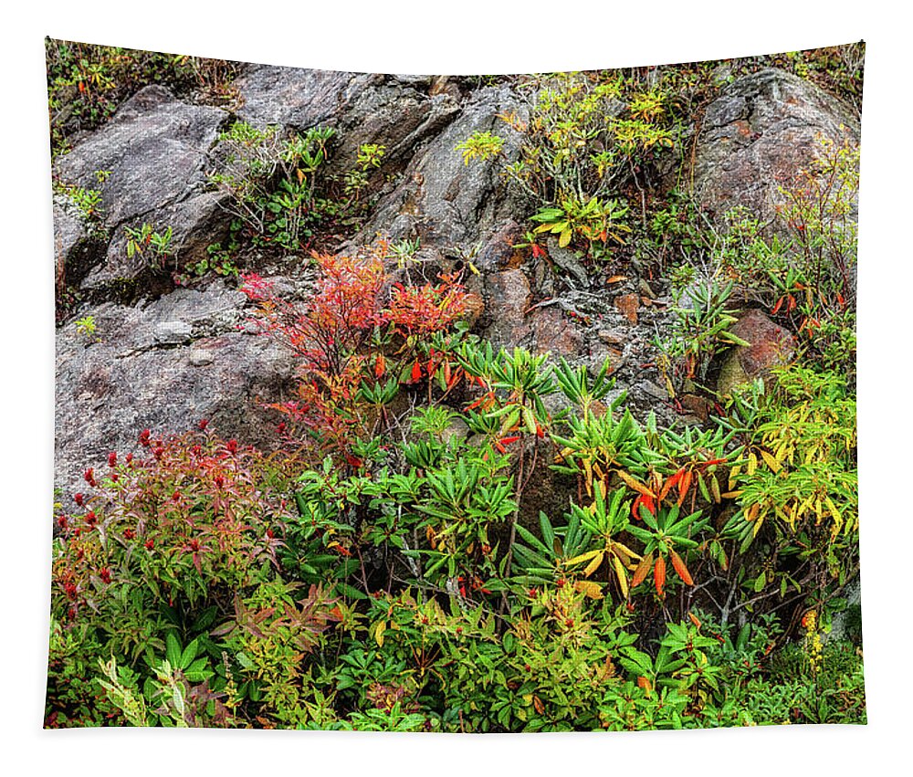 Autumn Tapestry featuring the photograph Autumn Cliff Dwellers Panorama by Dan Carmichael