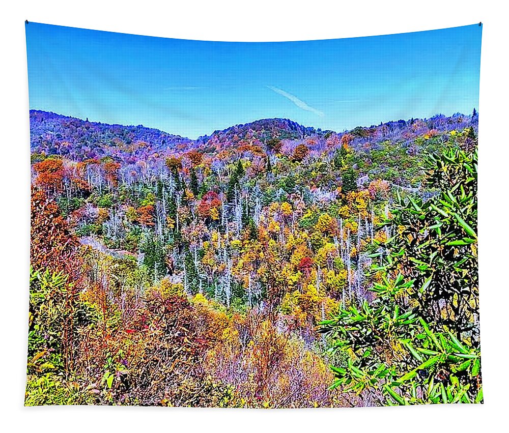 Autumn Tapestry featuring the photograph Autumn Colors by Allen Nice-Webb
