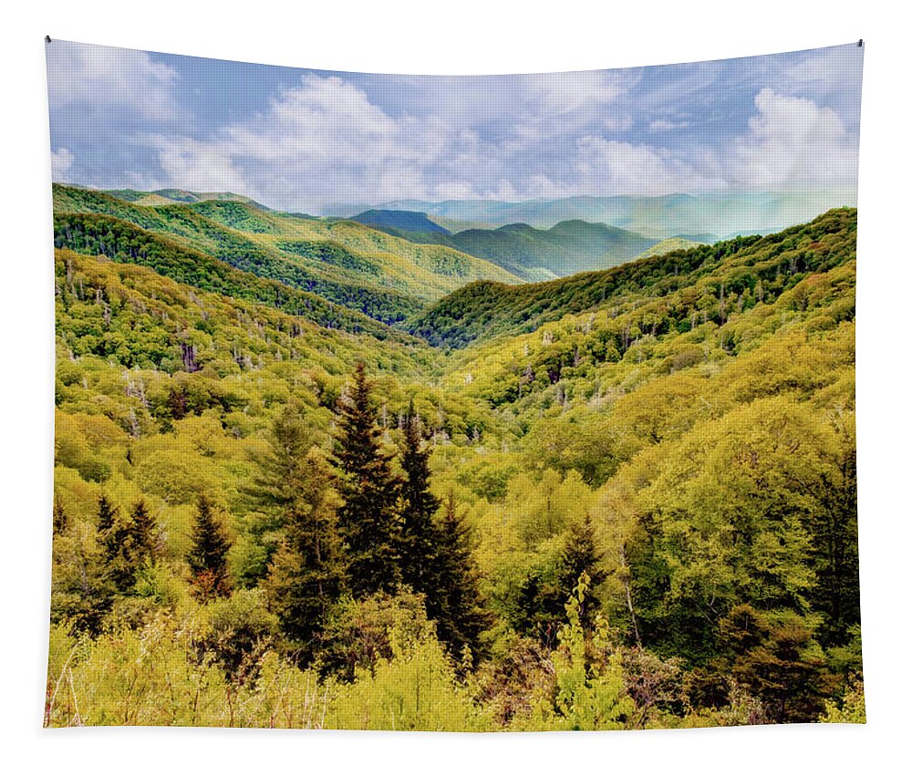 Great Smoky Mountain National Park Tapestry featuring the photograph Autumn Colors in the Smokies by Kay Brewer