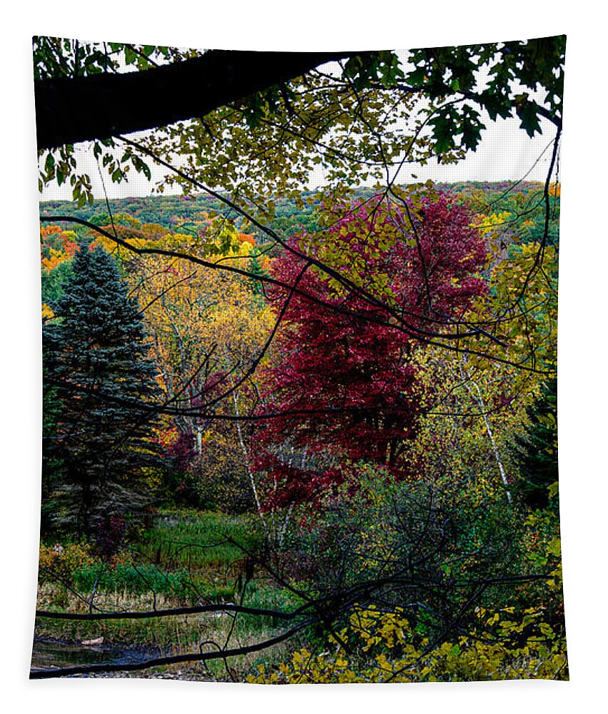 Landscape Tapestry featuring the photograph Autumn Dream 1 by Kristin Hatt